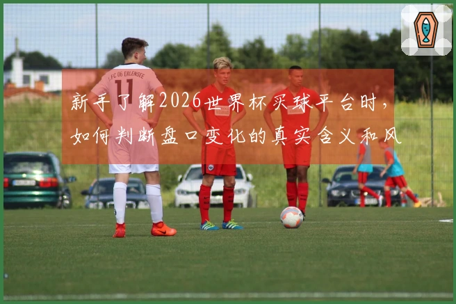 新手了解2026世界杯买球平台时，如何判断盘口变化的真实含义和风险