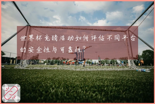 世界杯竞猜活动如何评估不同平台的安全性与可靠性？