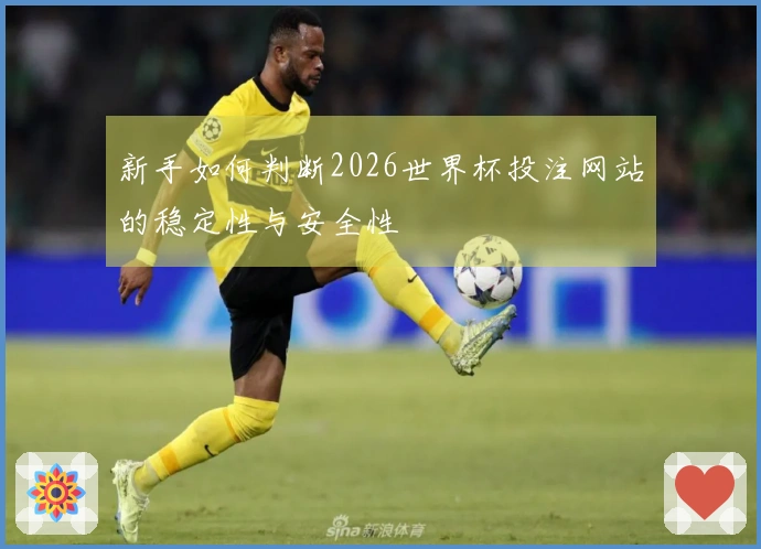 新手如何判断2026世界杯投注网站的稳定性与安全性