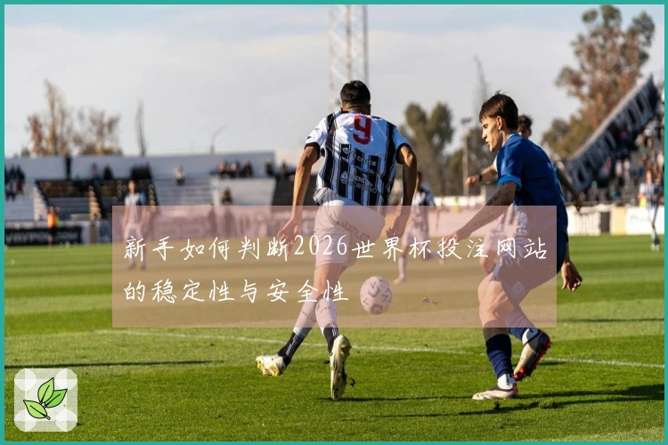 新手如何判断2026世界杯投注网站的稳定性与安全性