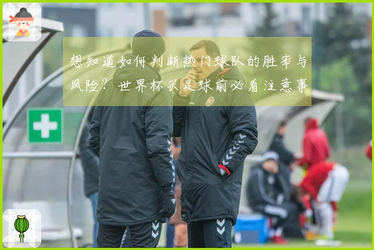 想知道如何判断热门球队的胜率与风险？世界杯买足球前必看注意事项