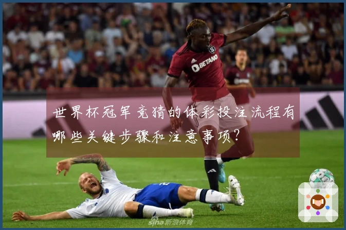 世界杯冠军竞猜的体彩投注流程有哪些关键步骤和注意事项？